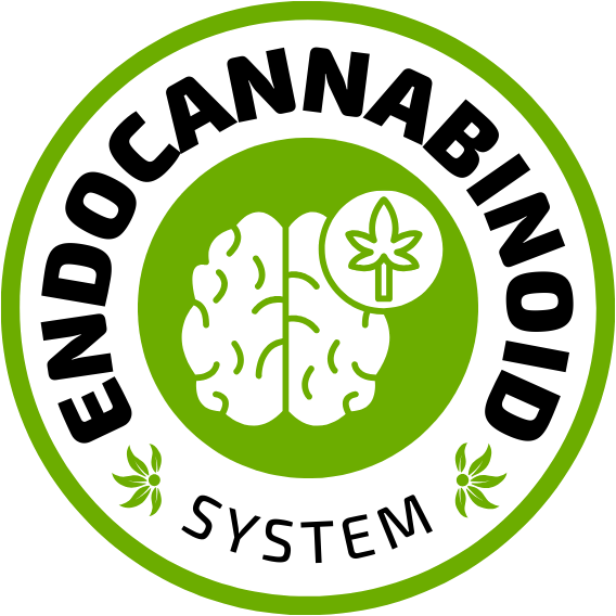 Endocannabinoid System