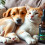 Latest News Featured Image
